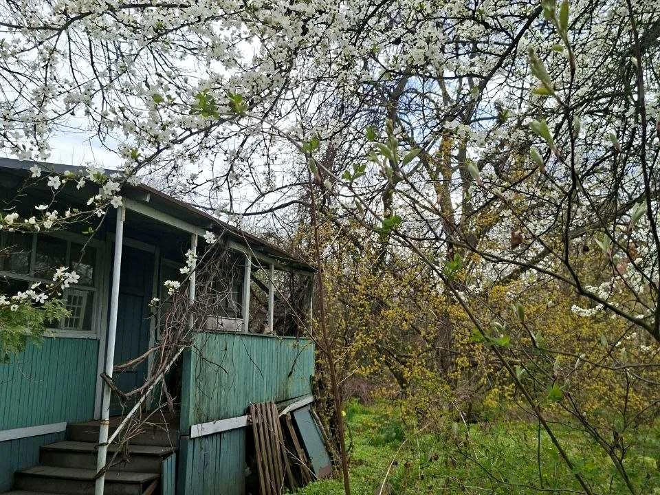 Ділянка. Київ, Садова вул.