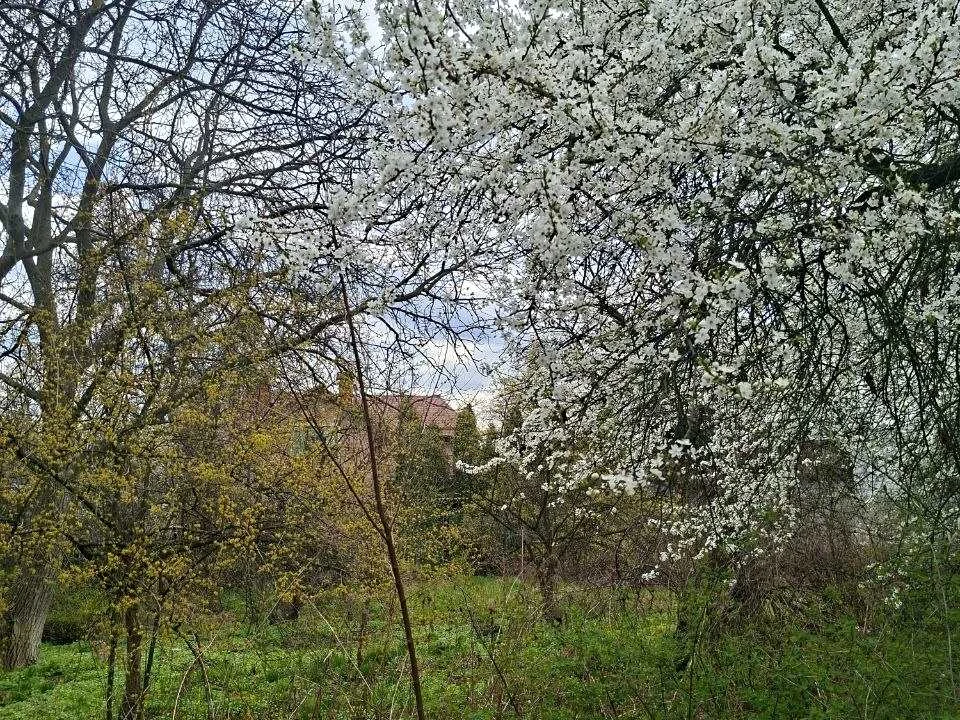 Ділянка. Київ, Садова вул.