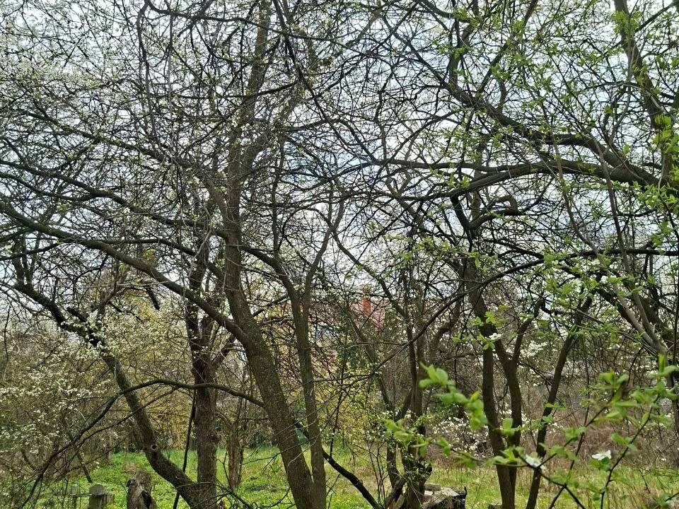 Ділянка. Київ, Садова вул.