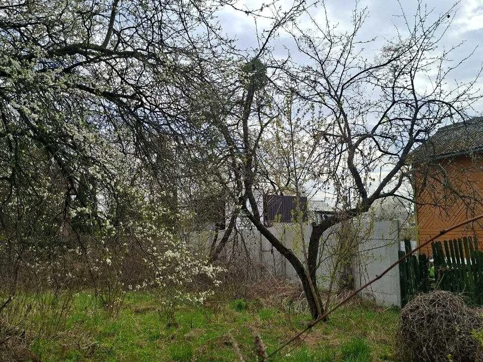 Ділянка. Київ, Садова вул.