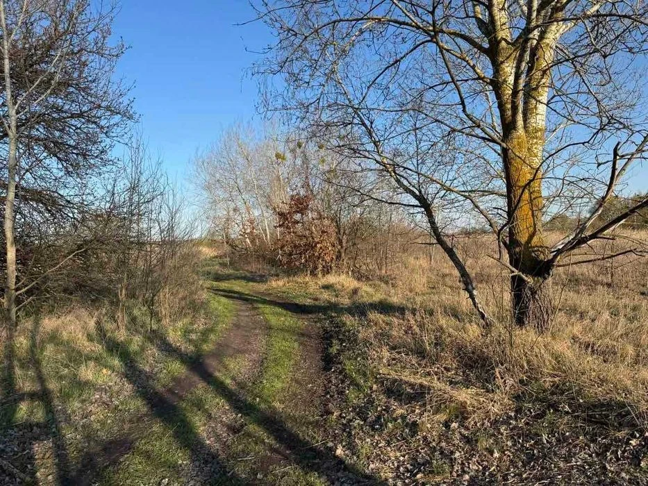 Киев Дарницкий район продам участок земли целевое  01.05  2