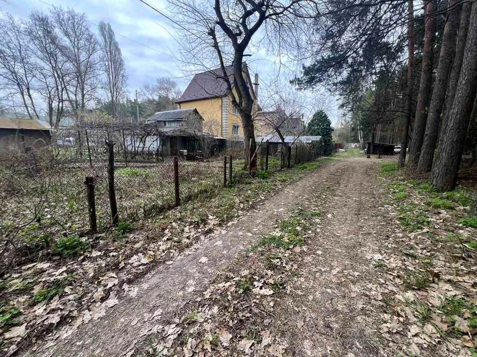 Ділянка. Київ, Центральна