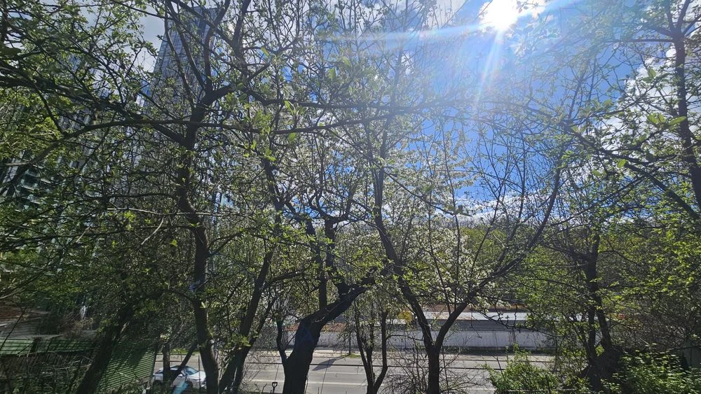 Печерськ,Старонаводницька 35 фасад,Царське Село,6.15 соток,б