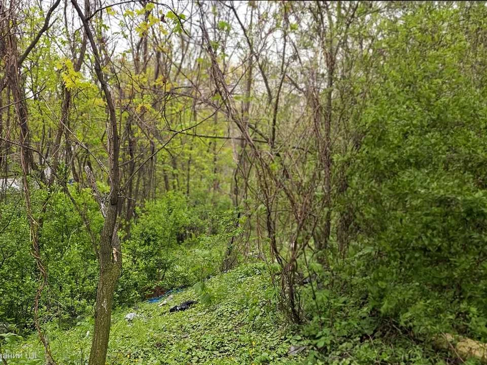 Ділянка. Київ, Западинська вул.