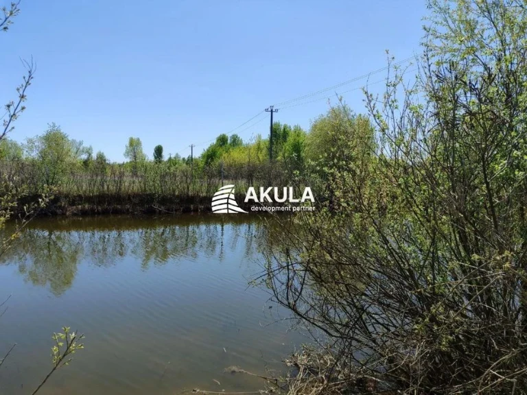 Продаж земельної ділянки, 5,74 га, річка, Осокорки, без%