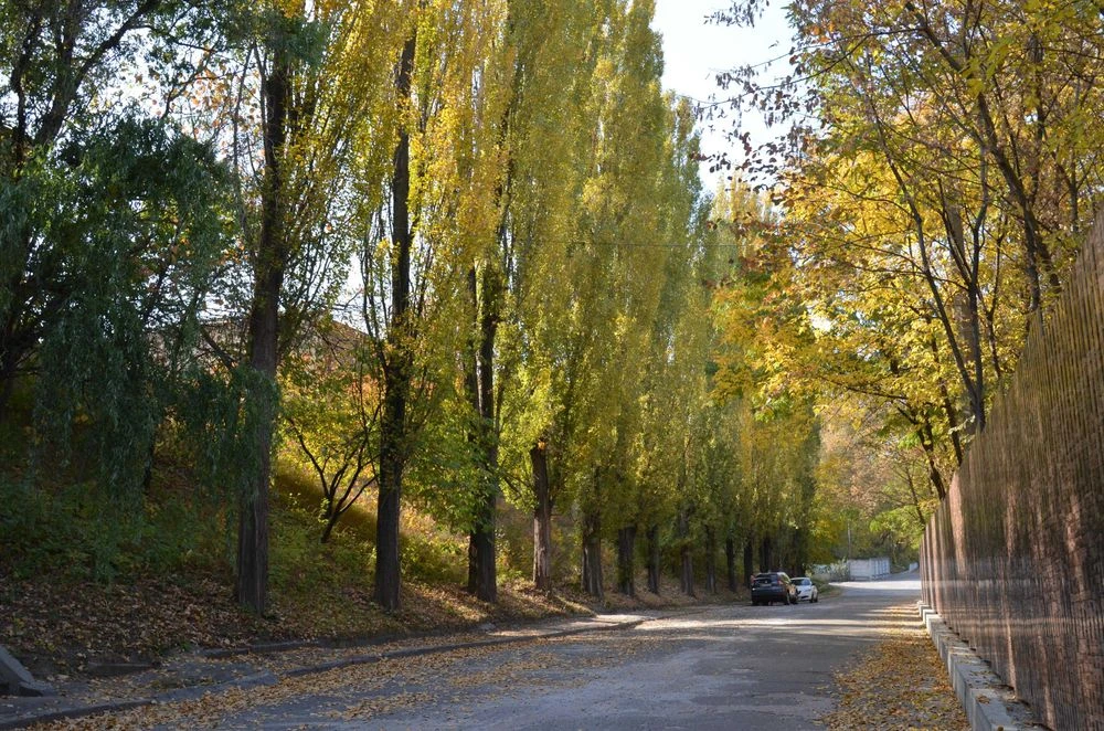 Земельна ділянка 10 соток в с/т "Кожевнік" вул. Князя Володи