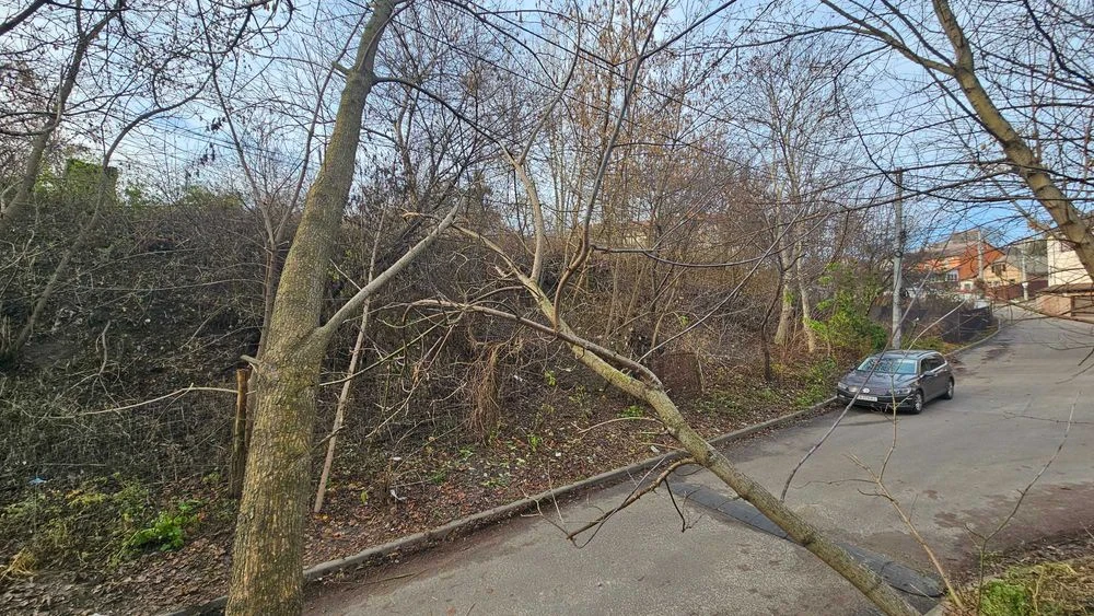 20 соток, Совки, Добросусідська, Норова, Пржевальского. Без