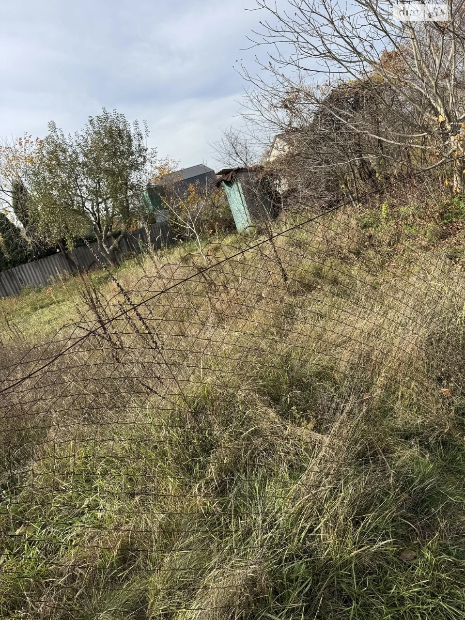 Продаж Земля сільськогосподарського призначення Осокорки