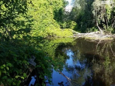 Продаж Земля сільськогосподарського призначення Воскресенка