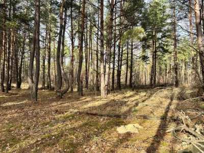 ‼️Земля під будівництво Биківня