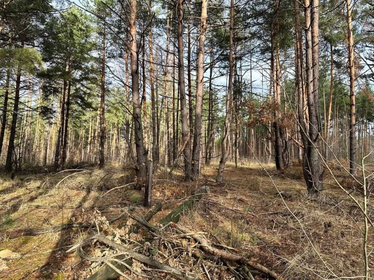 ‼️Земля під будівництво Биківня