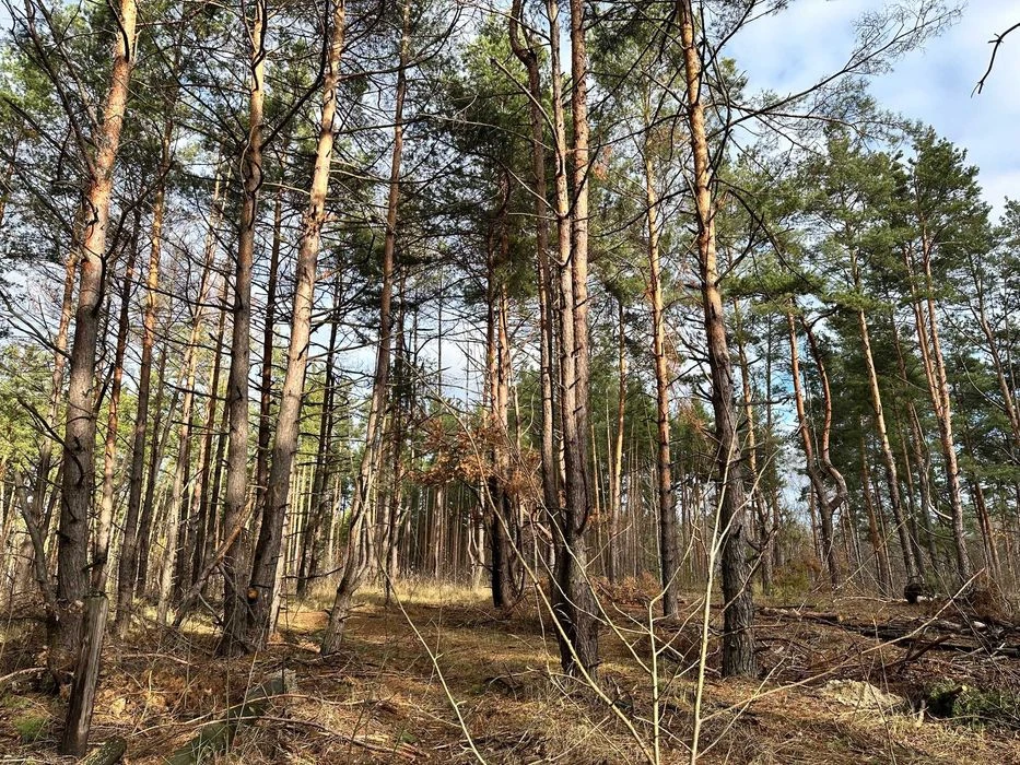 ‼️Земля під будівництво Биківня