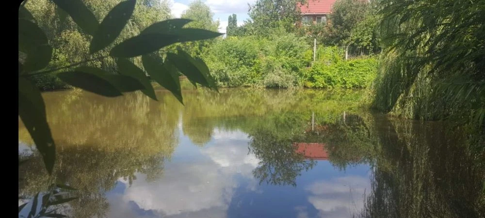 Русанівські сади, 12 сот., центр.