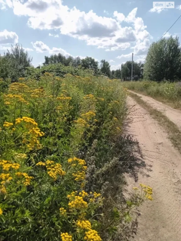 Продаж Земля сільськогосподарського призначення