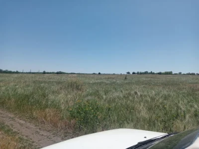 Участок под строительство .