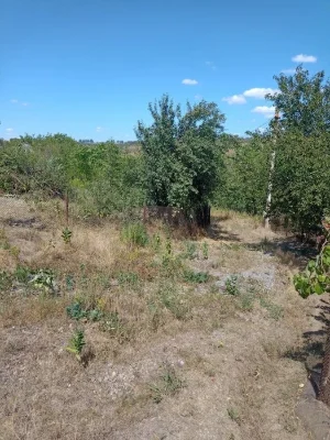 Продам дачный участок