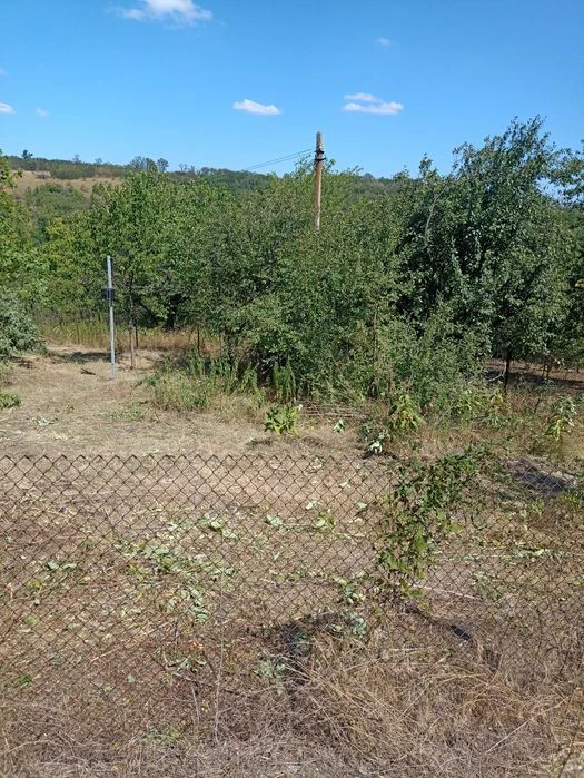 Продам дачный участок