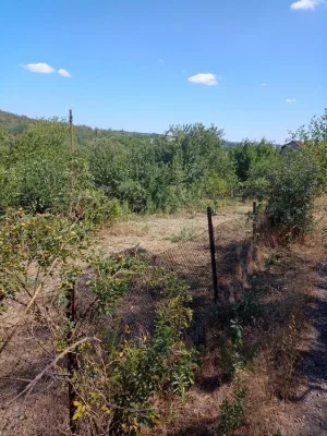 Продам дачный участок