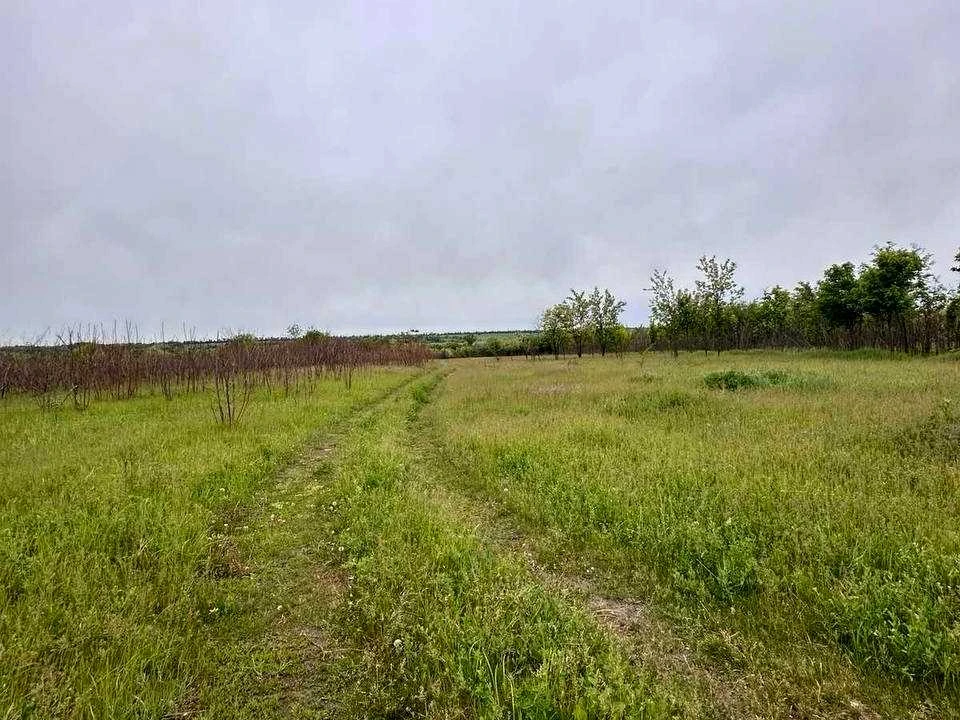 Ділянка. Дніпро, Дарвіна вул.