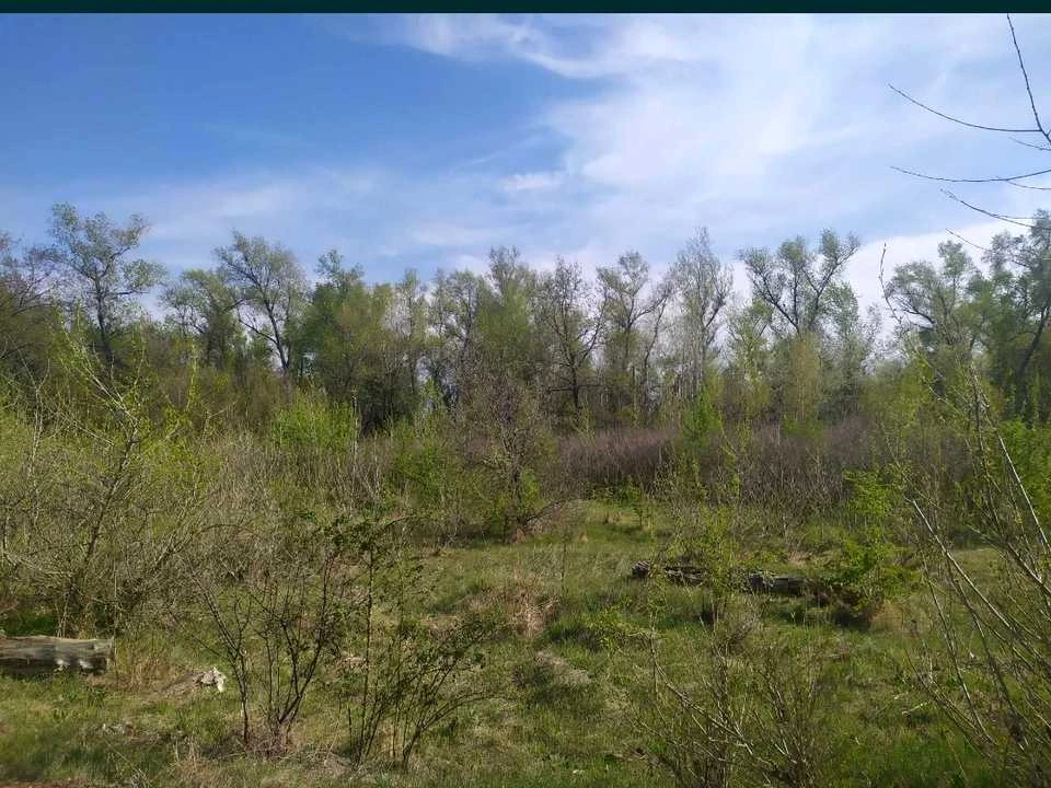 Ділянка. Дніпро, Вітряний пров.