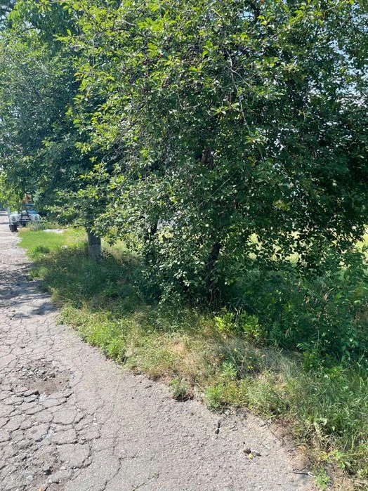 Продаж ділянки 10 соток Мирне