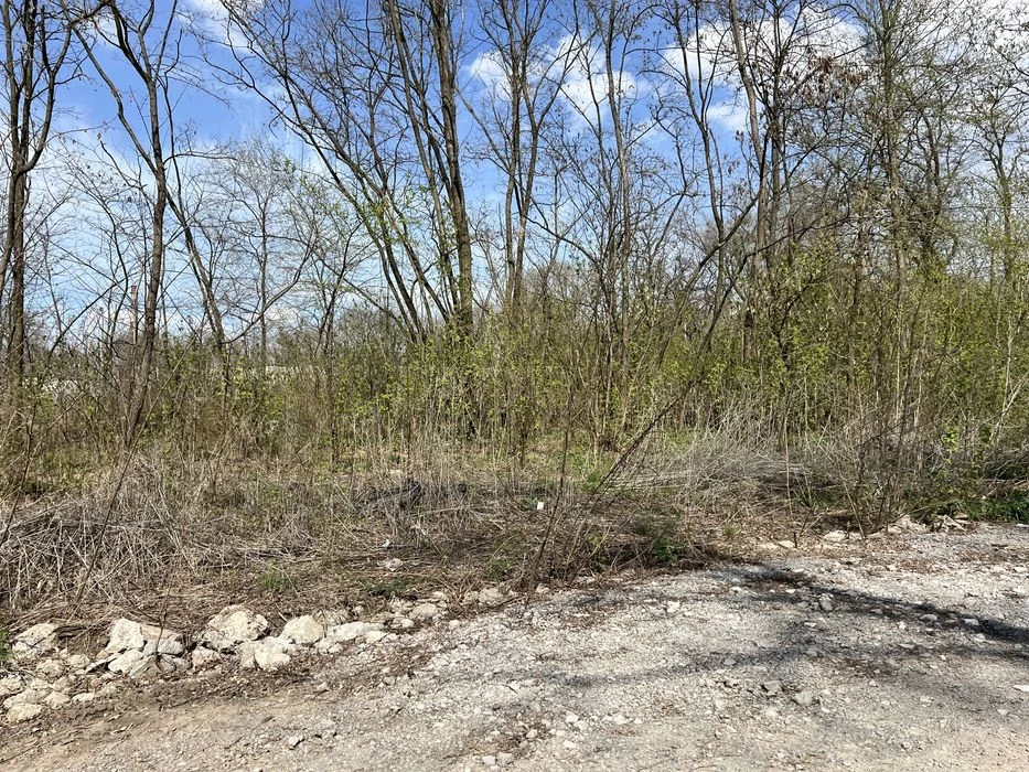 ЦАРСКОЕ СЕЛО, Авиас, продам участок КРАСНАЯ ЛИНИЯ, Тера , 12
