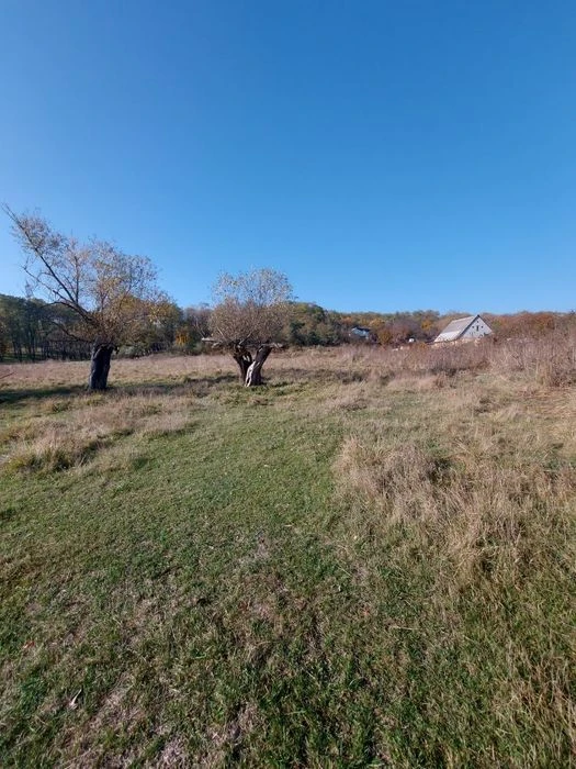 Продам участок 78 соток Царское село