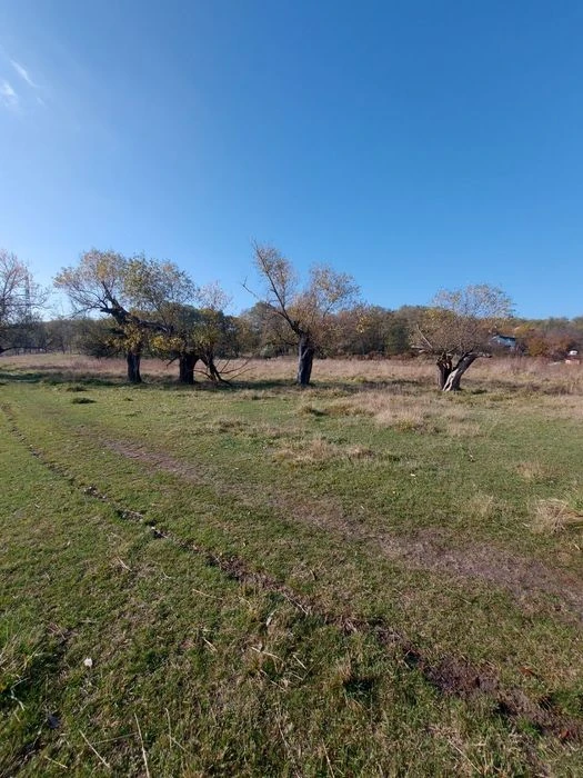 Продам участок 78 соток Царское село