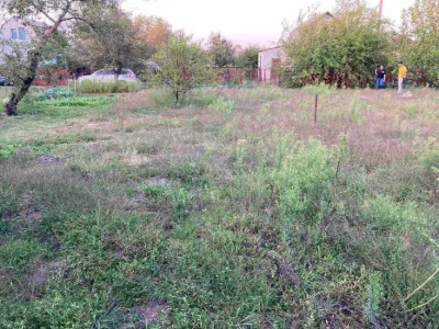 Продам земельну ділянку в с/т "Родник"