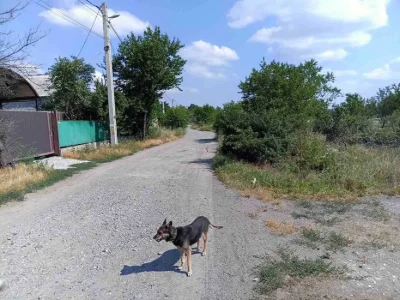 Продам земельну ділянку по вул. Охтирська, АНД район
