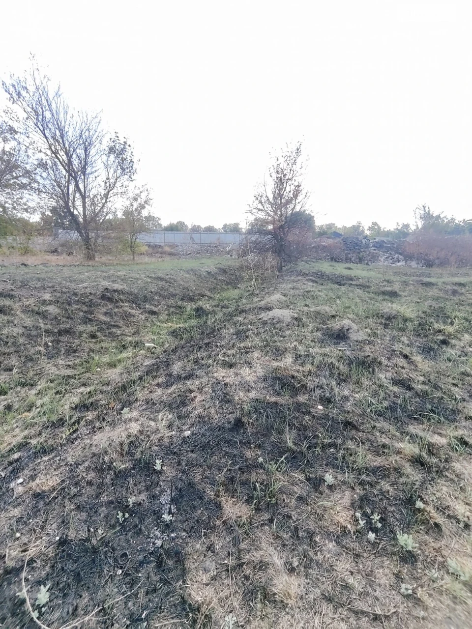 Продаж Ділянка під житлову забудову Березанівка