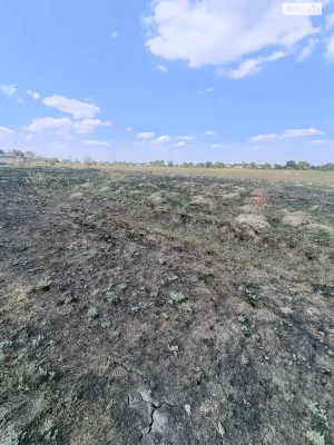 Продаж Ділянка під житлову забудову Березанівка