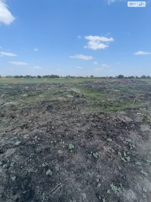 Продаж Ділянка під житлову забудову Березанівка