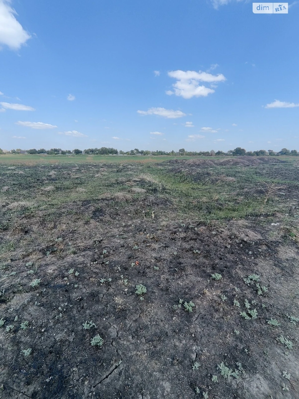 Продаж Ділянка під житлову забудову Березанівка