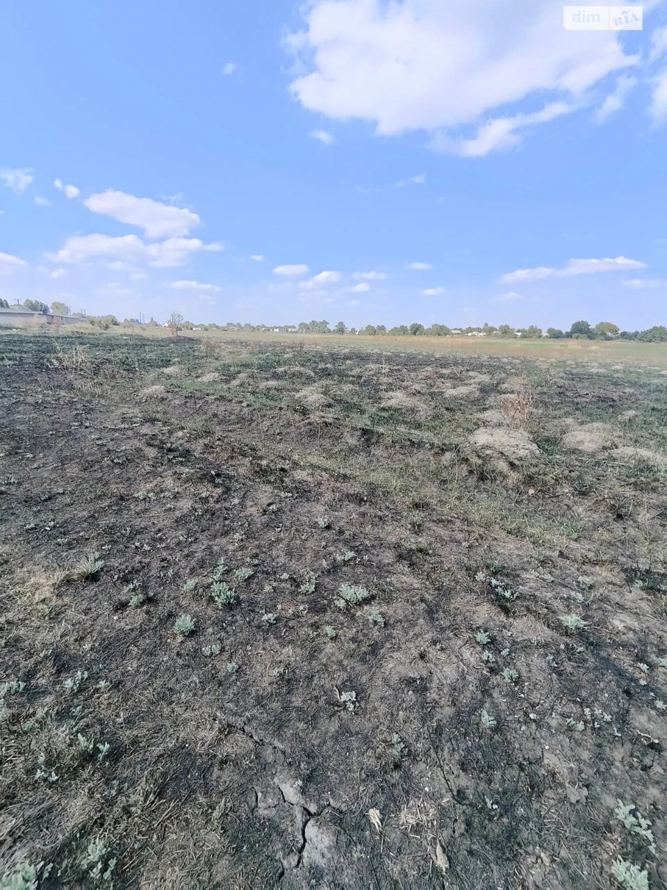 Продаж Ділянка під житлову забудову Березанівка