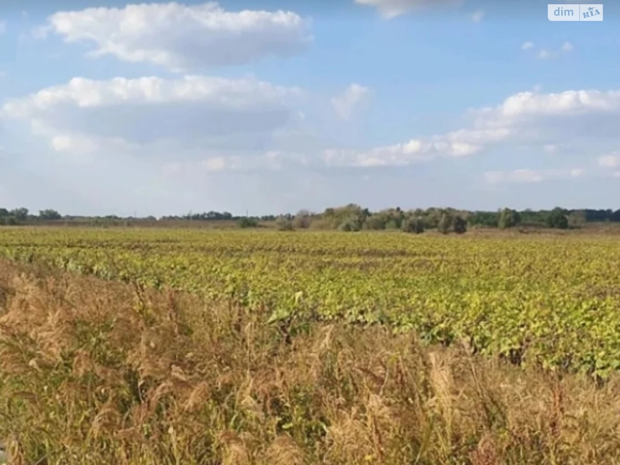 Продаж Земля сільськогосподарського призначення