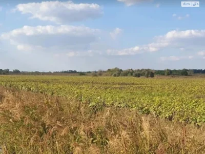 Продаж Земля сільськогосподарського призначення