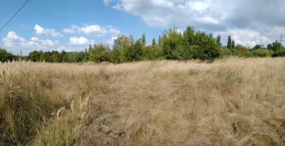 Продам земельну дiлянку пiд будiвництво, Одинкiвка