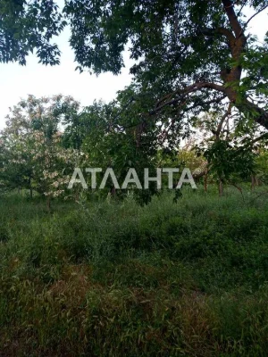 Фасадный участок на Даче Ковалевского, район СТО