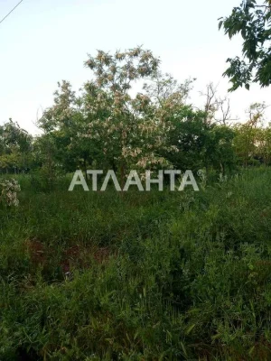 Фасадный участок на Даче Ковалевского, район СТО