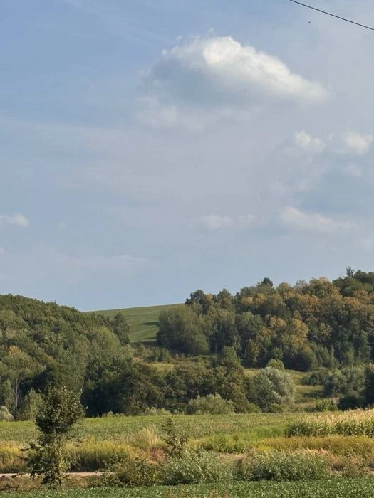 Продаж! Затишний будинок з чистим повітрям