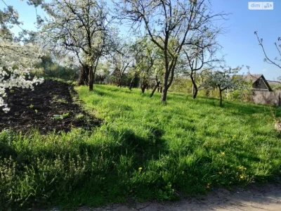 Продаж Земля сільськогосподарського призначення Роша Стинка