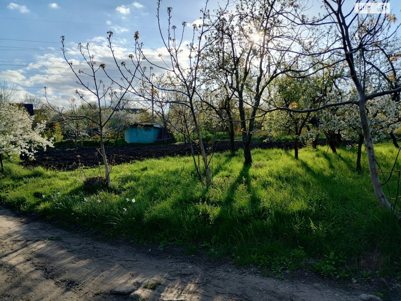 Продаж Земля сільськогосподарського призначення Роша Стинка