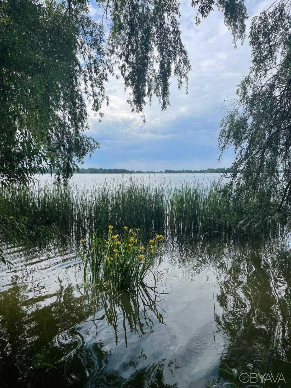 Крушельницької 15