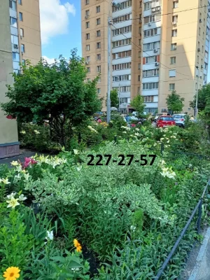 2-х комн. кв. 78 м2, 2 этаж, Дарницкий бульвар, метро Дарниц
