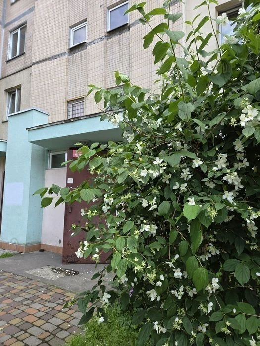 2-х кімн. квартира з ГАЗОМ та АВТОНОМНИМ ОПАЛЕННЯМ, 1 поверх