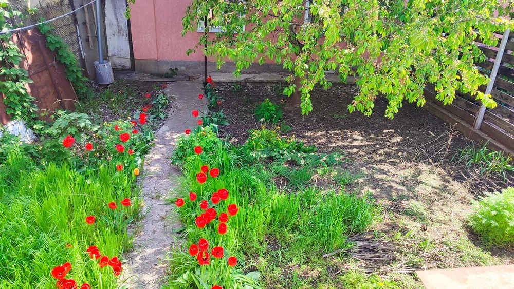 House for sale in Odessa, Kostandi/Levitana district