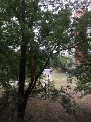 Воскресенка, Дашкевича