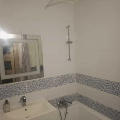 Аренда 1-комнатной квартиры 48 м², Науки просп.