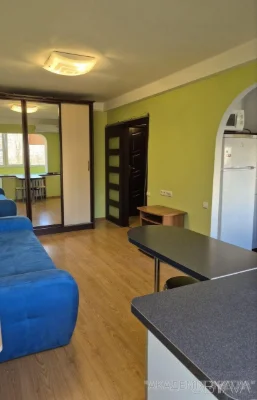 1-комнатная квартира, 27 м.кв.